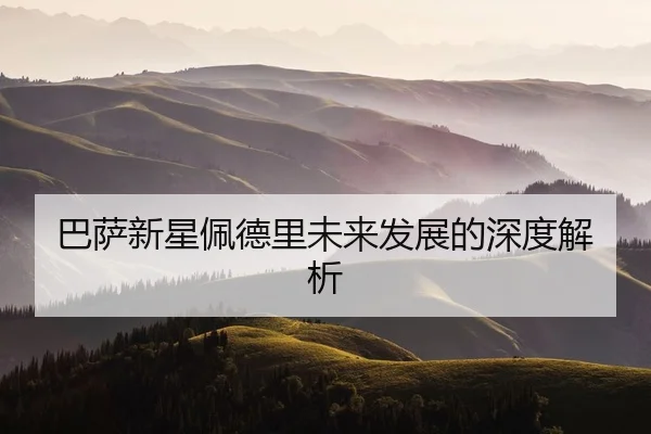 巴萨新星佩德里未来发展的深度解析