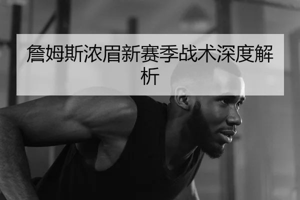 詹姆斯浓眉新赛季战术深度解析