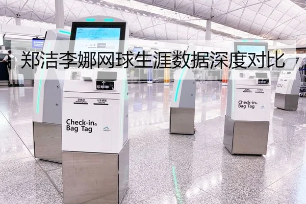 郑洁李娜网球生涯数据深度对比